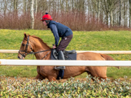 BP200326-39 - It's Hard To Know